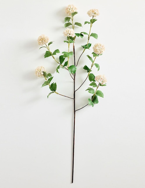 RAMA PB SNOWBALL BRANC, 1.20 CM, BEIGE