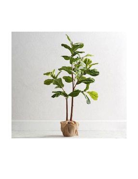 Ficus Faux Fiddle Leaf 165 cm