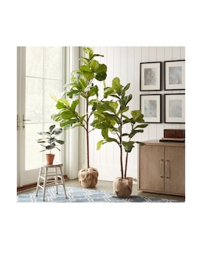 Ficus Faux Fiddle Leaf 165 cm