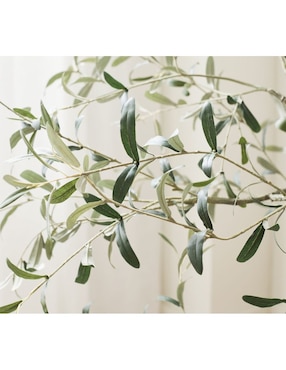 Olivo Faux Potted 274 cm con maceta