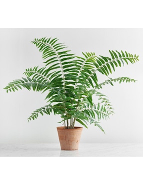 Planta Artificial Faux Potted