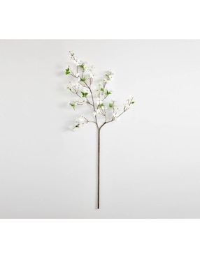 Cornejo decorativo