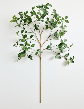 Abedul decorativa Birch Leaf Bran