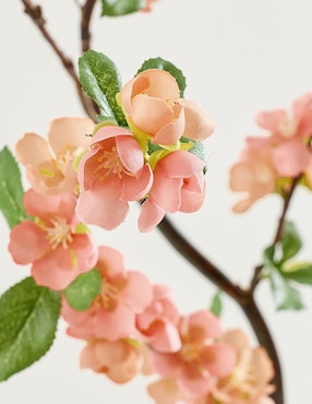 Rama decorativa Pottery Barn Quince Branch
