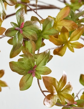 Gypsophila acutifolia decorativa Faux Branch