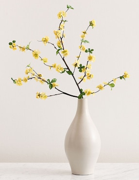 Membrillo decorativo Quince