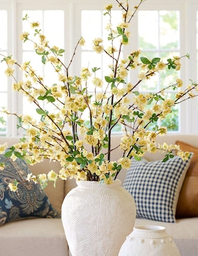 Membrillo decorativo Quince