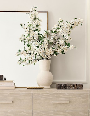 Cornejo decorativo Blooming Dogwood