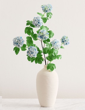 Hortensia decorativa Snowball
