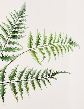 Helecho decorativo Oversized Fern