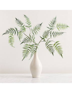 Helecho decorativo Oversized Fern