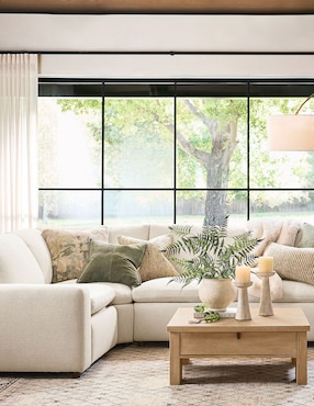 Helecho decorativo Oversized Fern