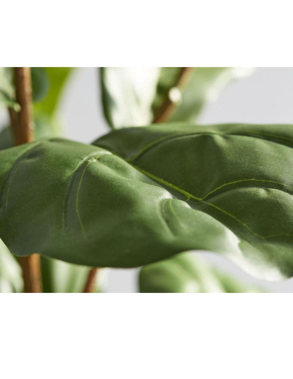 Ficus Faux Fiddle Leaf 165 cm 2