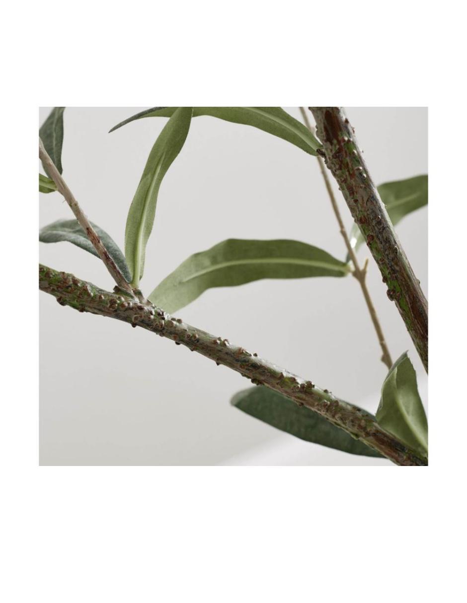 Árbol Potted Olive Faux 180 cm con maceta 4