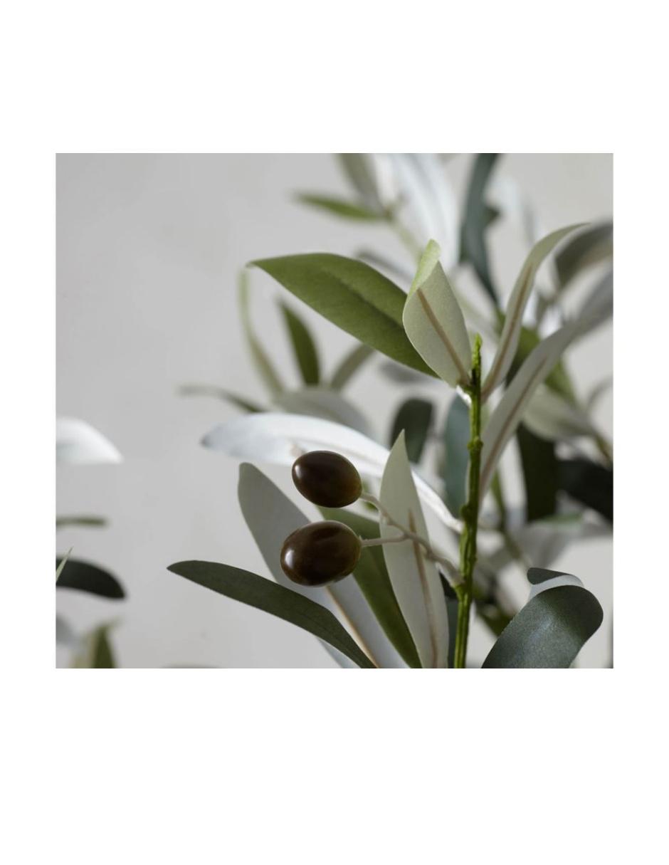 Árbol Potted Olive Faux 180 cm con maceta 5