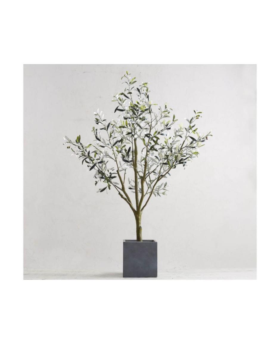 Árbol Potted Olive Faux 180 cm con maceta 9