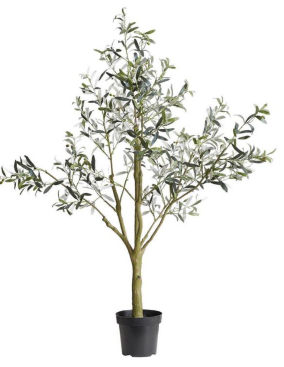 Árbol Potted Olive Faux 180 cm con maceta 10