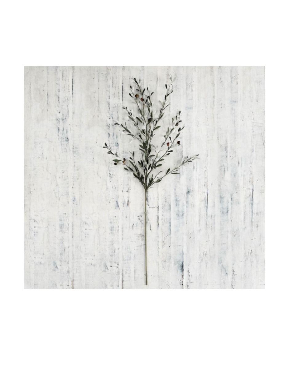 Rama olivo artificial decorativa 66 cm - Chantilly