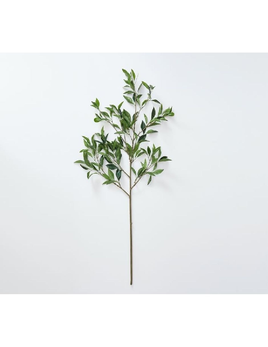 Hojas decorativa Bay Leaf