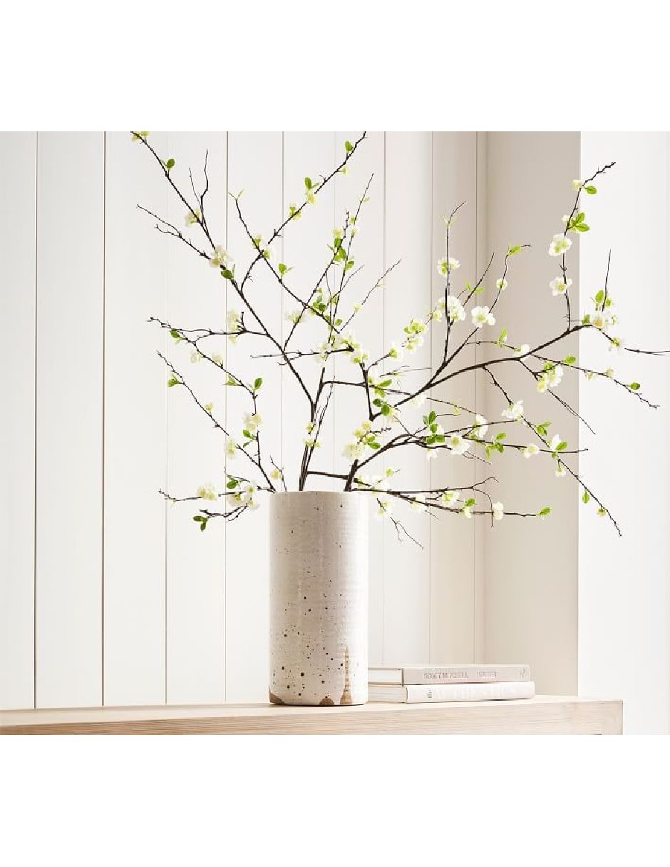 Cerezo decorativo White Blossom 3