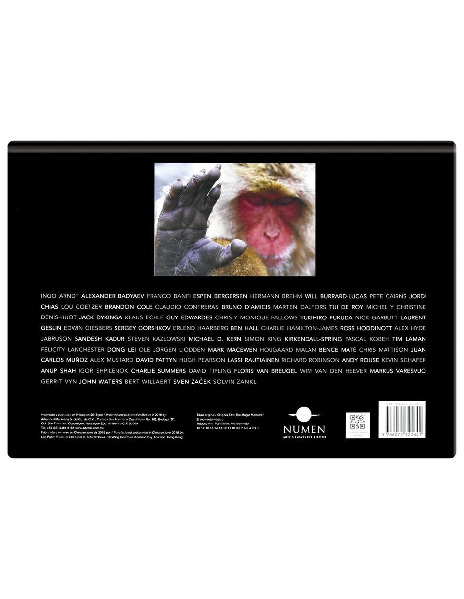 Libro El momento mágico de Numen 2