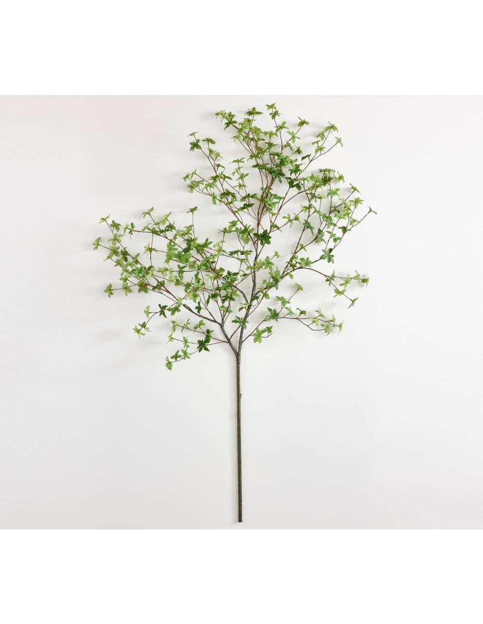 Rama decorativa Botánica