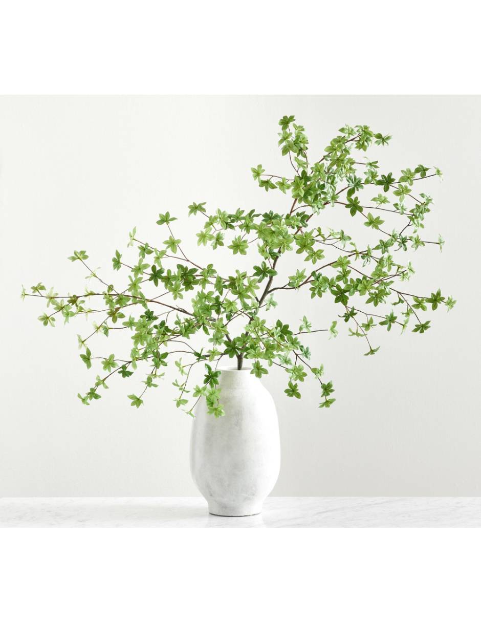 Rama decorativa Botánica 3