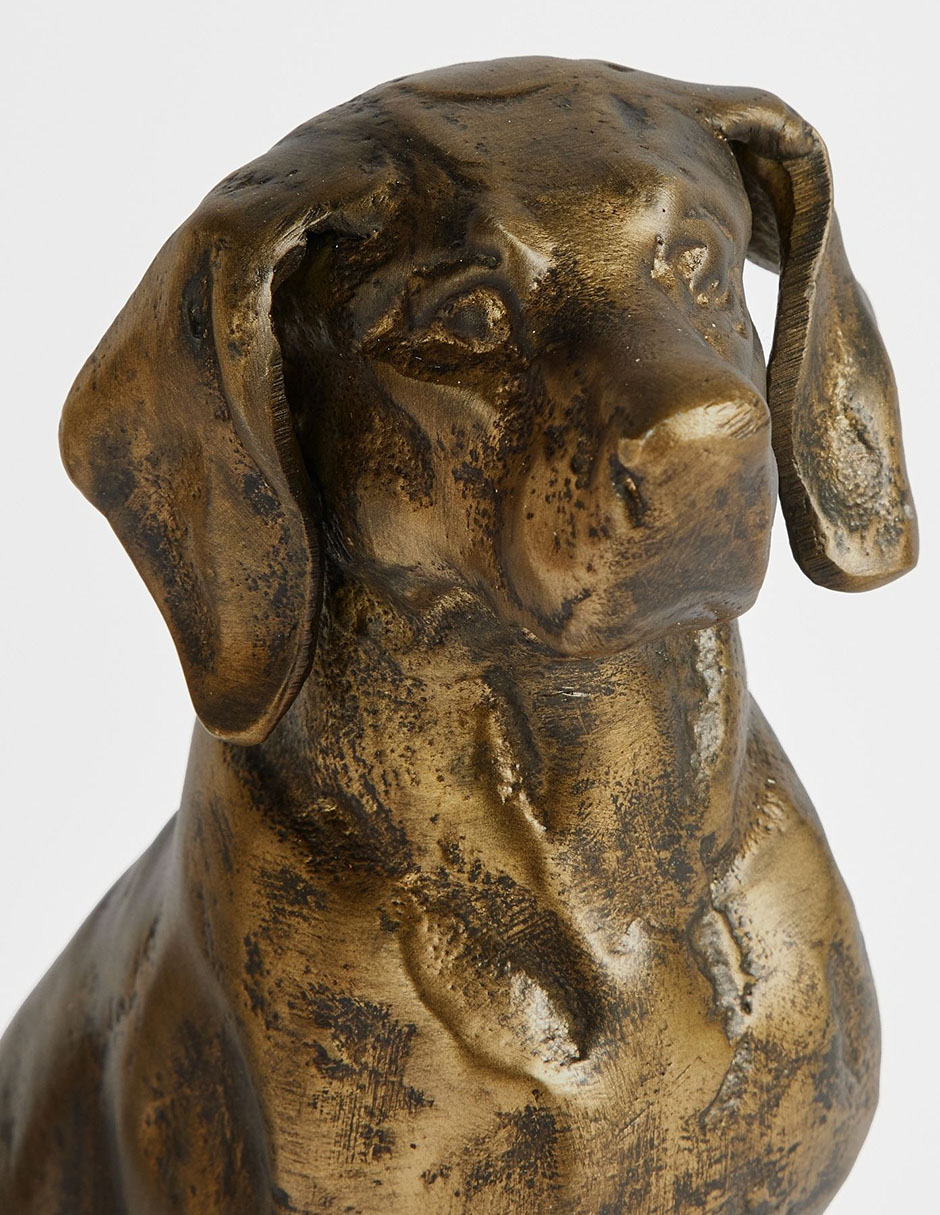 Sujetalibro Labrador 2