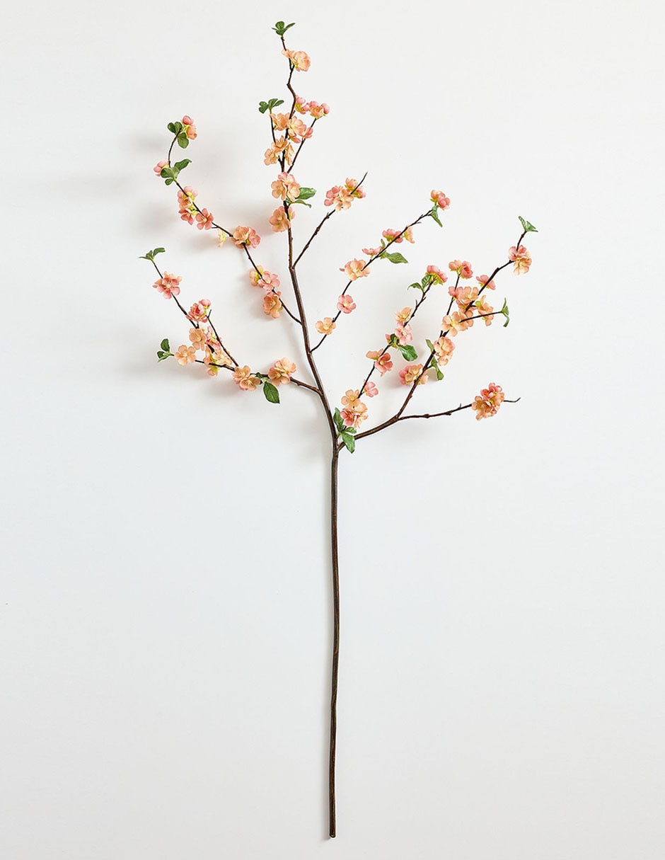 Rama decorativa Quince Branch