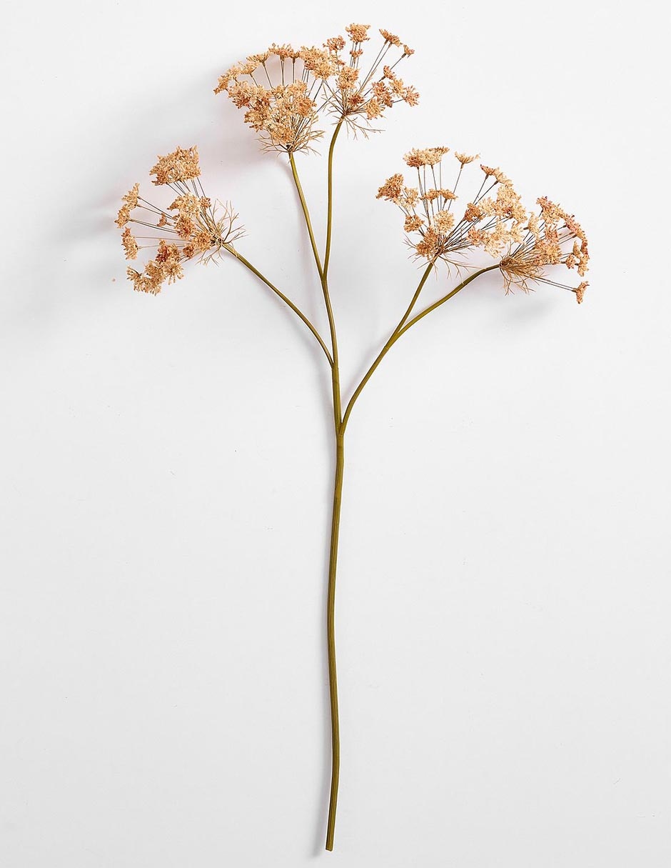 Daucus Carota decorativa Faux Branch