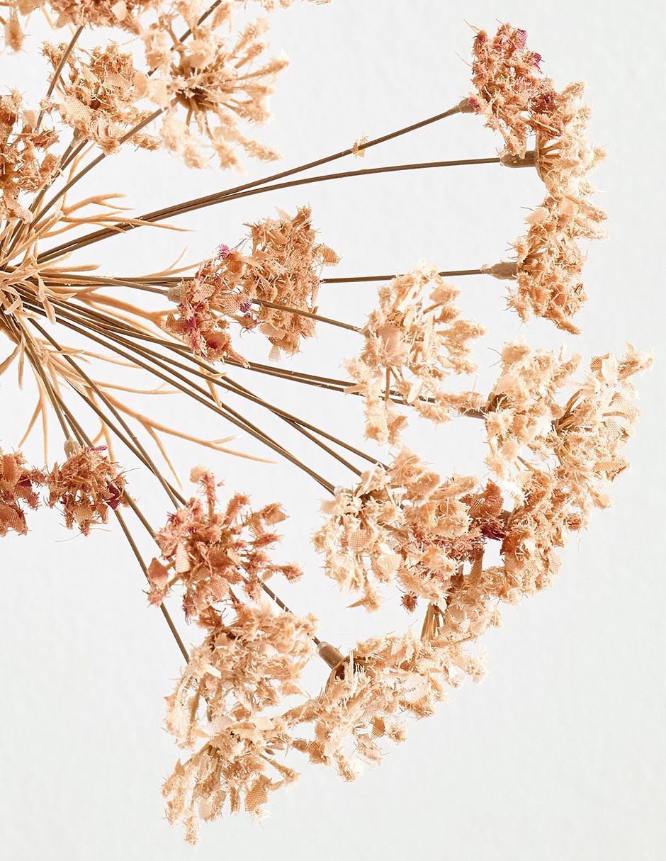 Daucus Carota decorativa Faux Branch 2