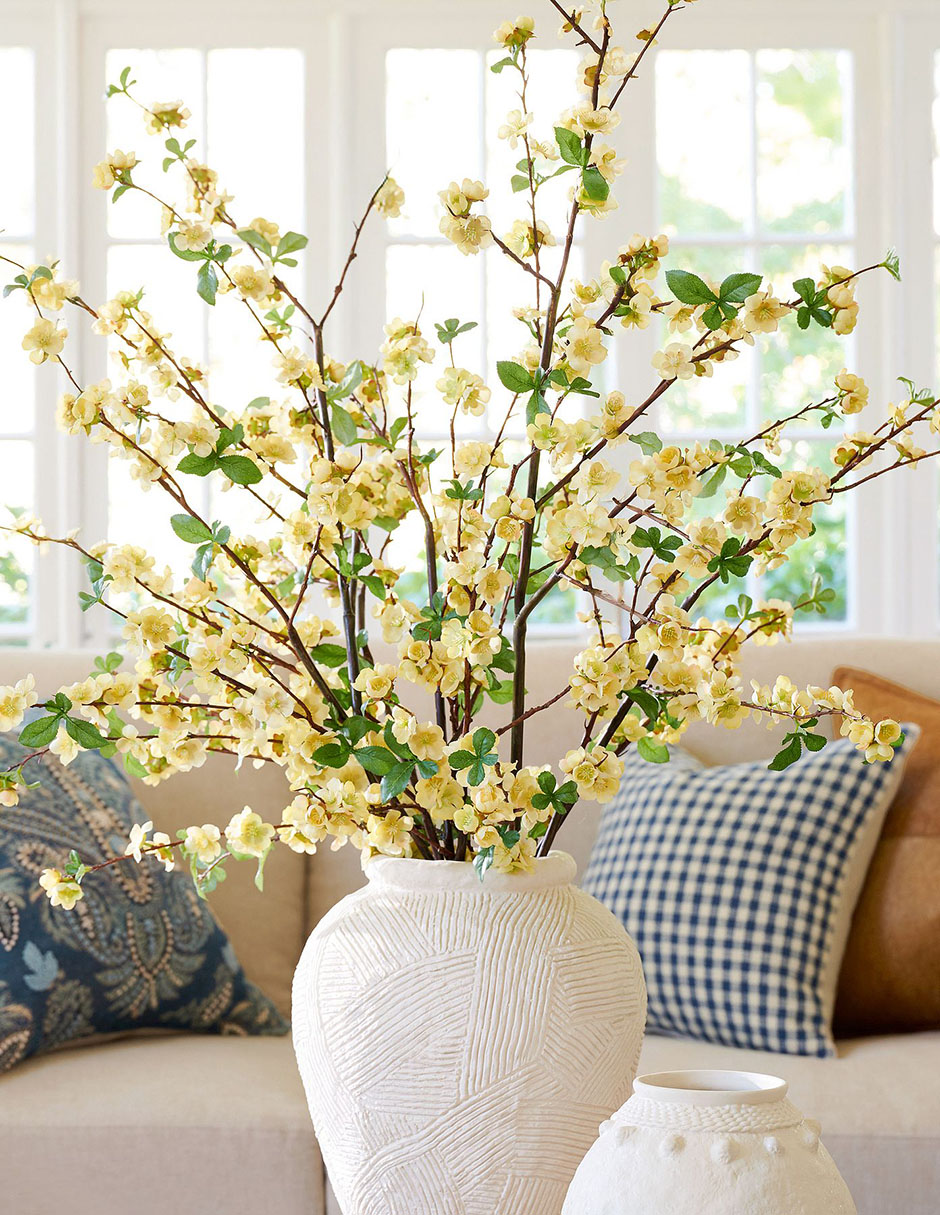 Membrillo decorativo Quince 4