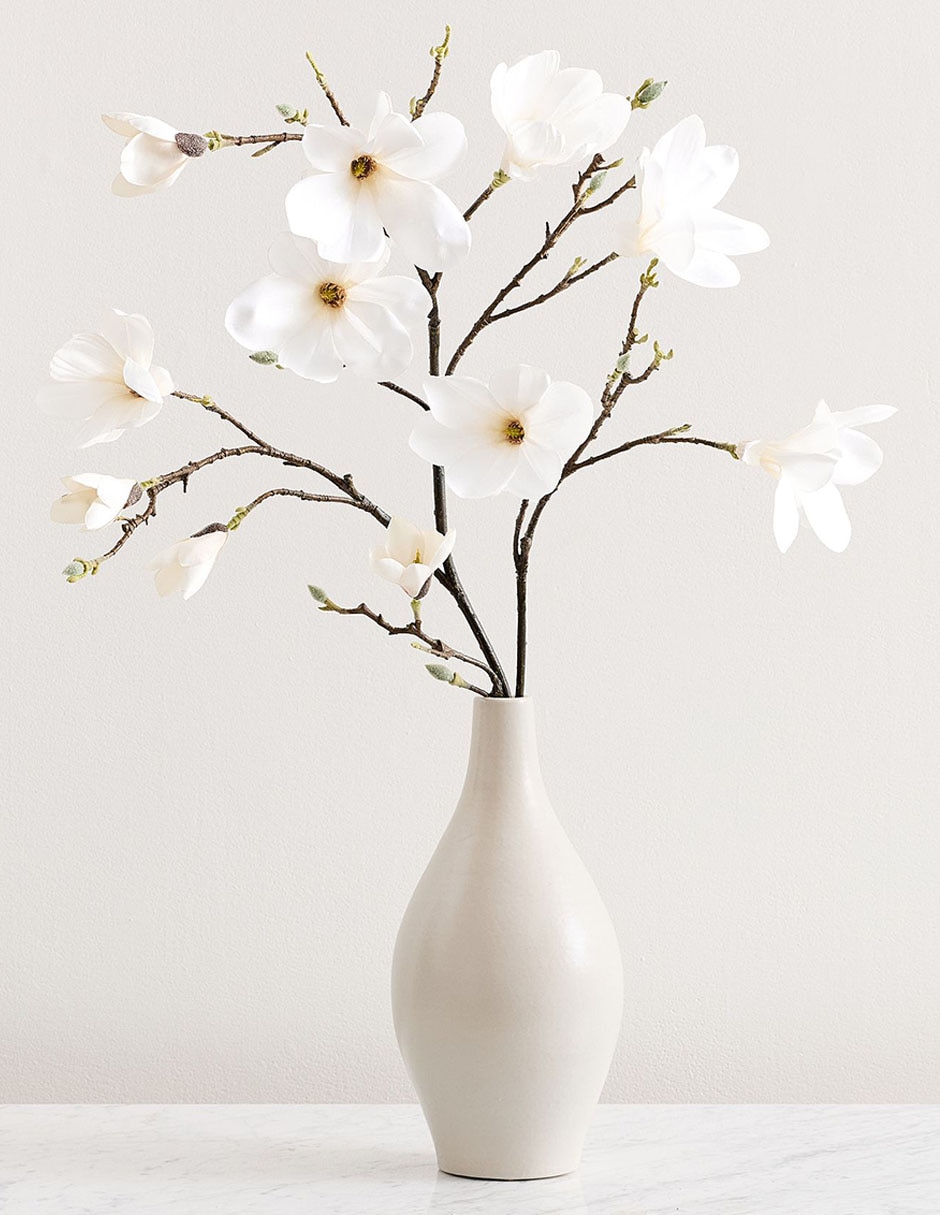 Magnolia decorativa Blooming Magnolia 3