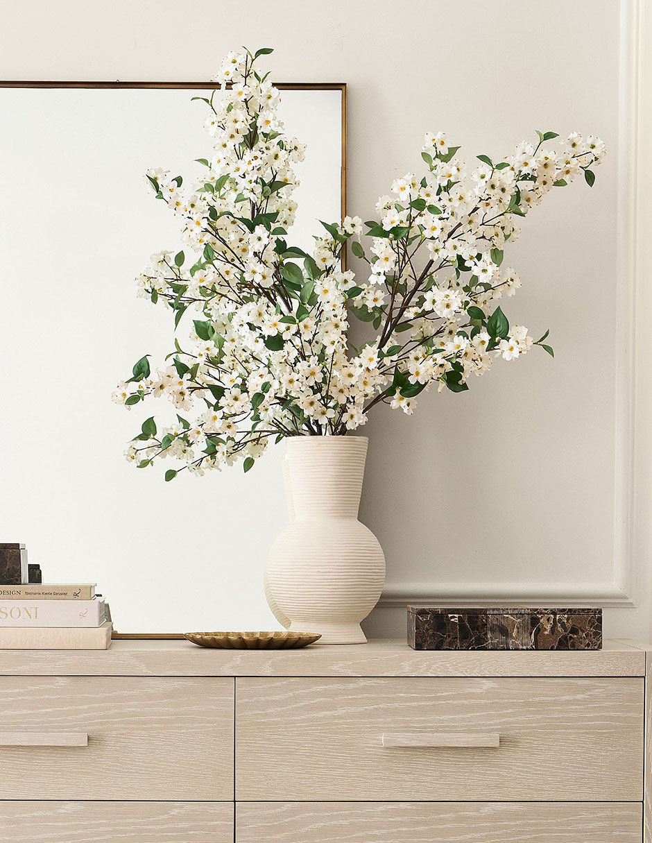 Cornejo decorativo Blooming Dogwood 3