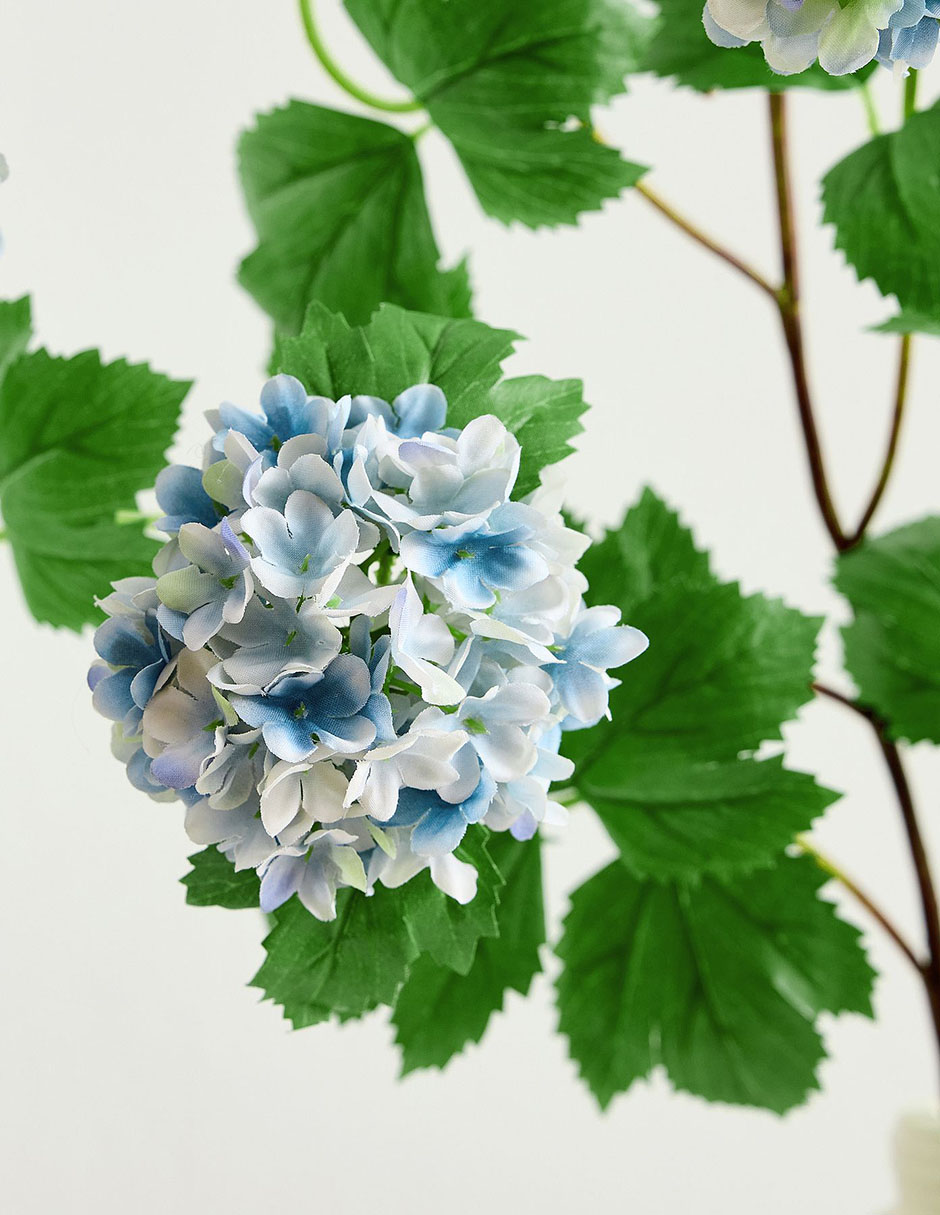 Hortensia decorativa Snowball 2