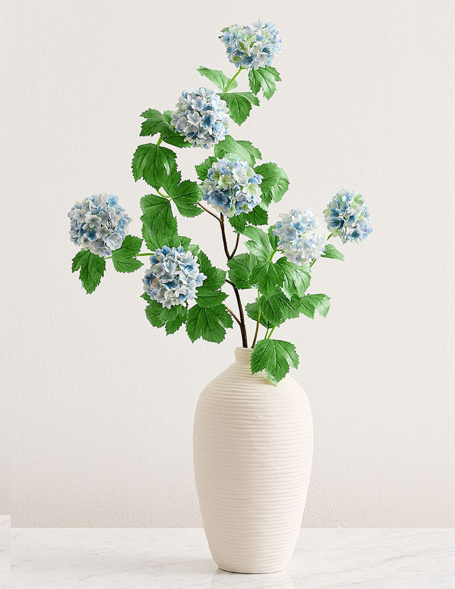 Hortensia decorativa Snowball 3