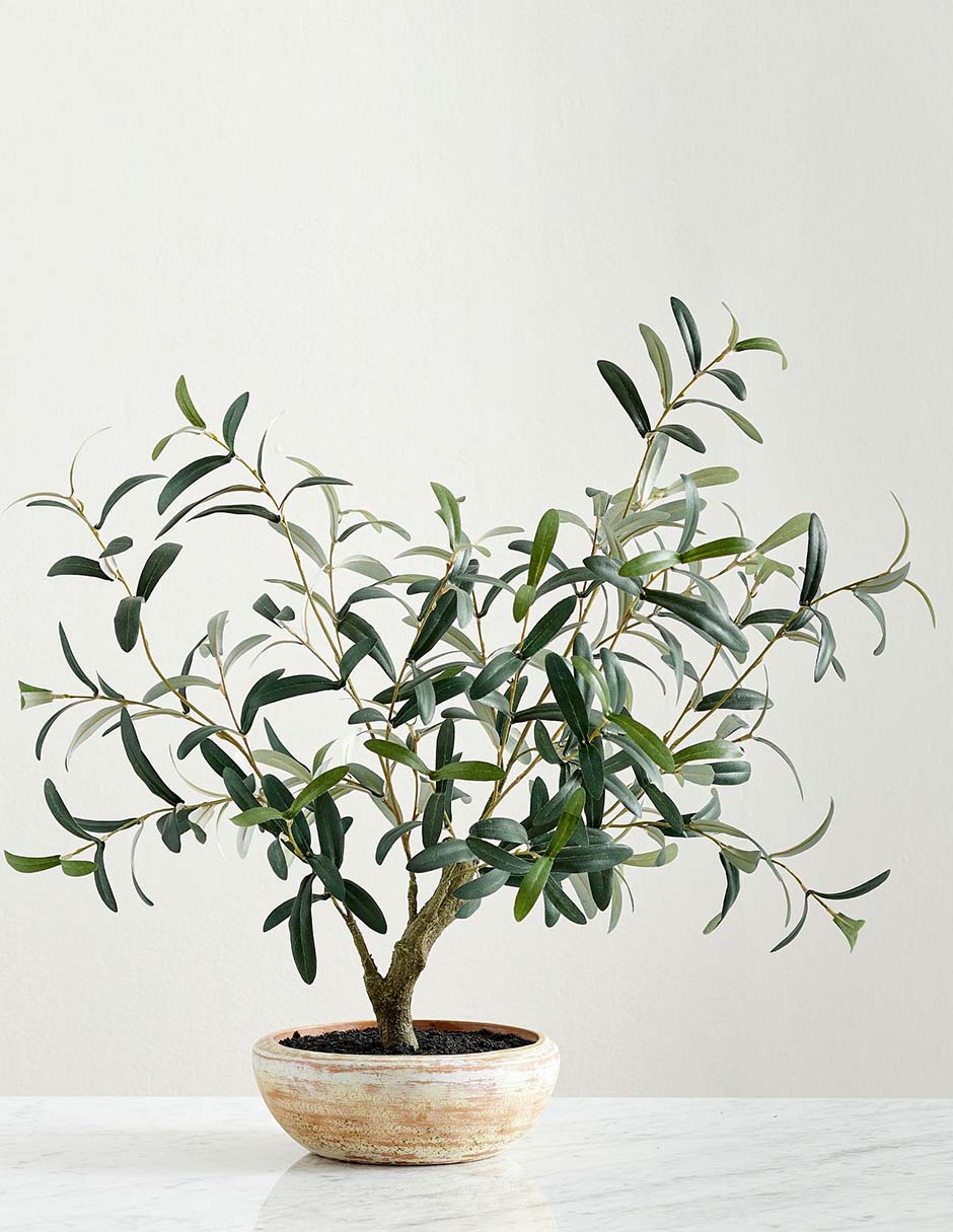 Olivo Faux Olive 61 cm con maceta