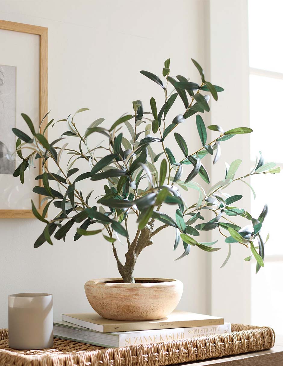 Olivo Faux Olive 61 cm con maceta 3
