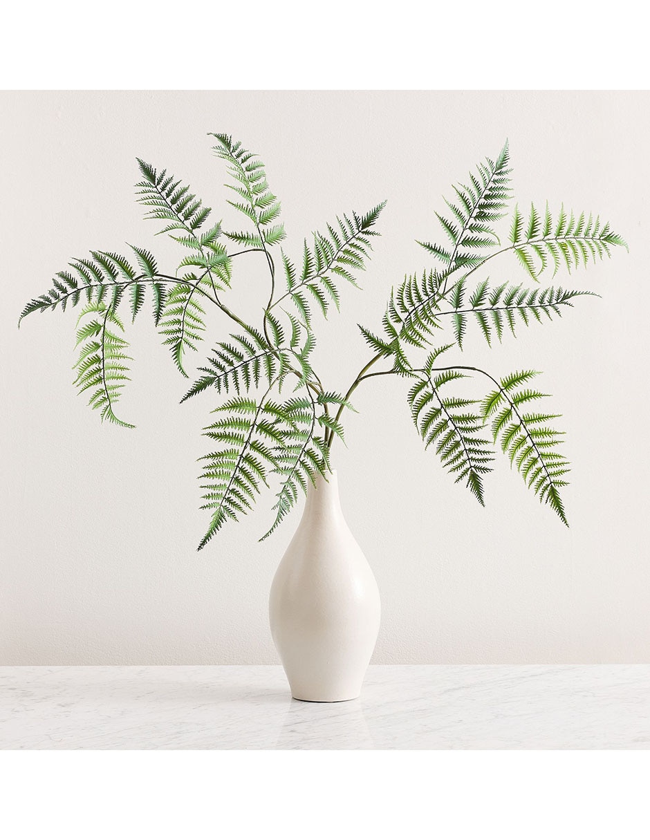Helecho decorativo Oversized Fern 3